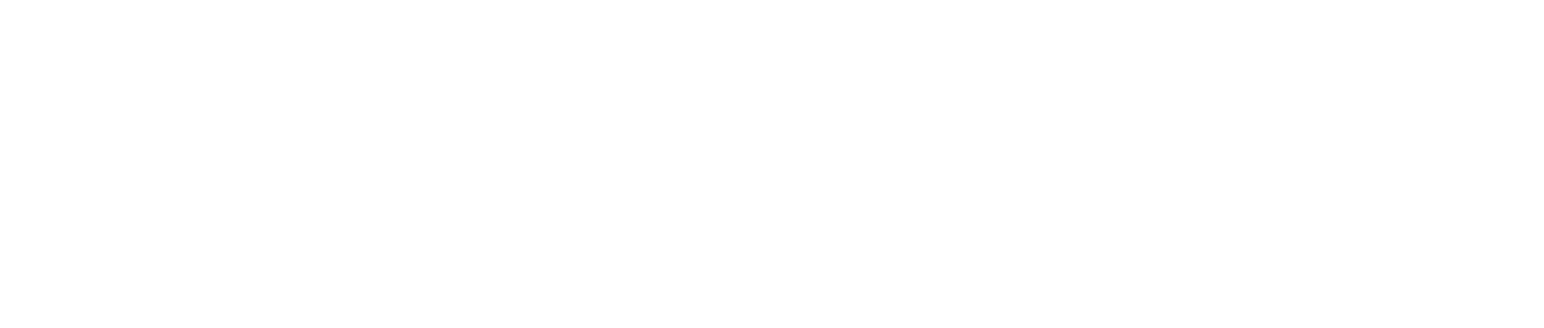 DigiMotive